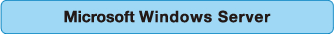 Microsoft Windows Server（標準サービス）